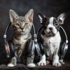 Calm Animals Music、Ensemble Reiki、The Way - Calm Whiskers Tune