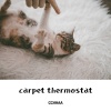 CCHHAA - closing toll