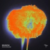 MIGANOVA - Rewording