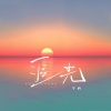 宇西 - 追光