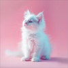 Ritmos de hip hop LoFi、Gato tranquilo、Música para dormir Gatos - Noches De Gato Lofi
