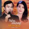 Nguyen Tri、Lê Quân《Nếu Mộng Không Thành (feat. Lệ Quân)》[MP3/LRC]