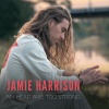 Jamie Harrison - My Head Was Too Strong