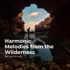 Sleep Sounds of Nature、Nature Sounds Nature Music、Nature Sounds - Calming Ocean Waves