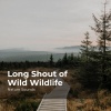 Nature Sounds、Sleep Sounds of Nature、Nature Sounds Nature Music - Tuneful Steady Stream