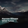 Nature Sounds、Sleep Sounds of Nature、Nature Sounds Nature Music - Rain Forest Landscape