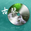 悦尔music - 碧水长天