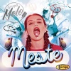 Grupo Melo - Meste