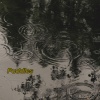 Thriftboy - Puddles