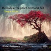 Walter Mazzaccaro - Beyond appearances (Tuning at 432 Hz)