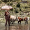 Nhlanhla Mahlangu、Thulani Zwane、Nelisiwe Sibiya、Zulu Mkhathini - NKAYIMANE