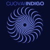 Cuovai - Indigo