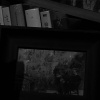 HLHS - Accumulation (Bass House)