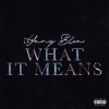 Yung Bleu - What It Means (Explicit)