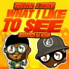 Shawn Atkins、DJ Chose - What I Like To See (Explicit)