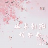 白沐兮 - 这朵桃花我不要 (DJ版)