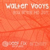 Walter Vooys - You Bring Me Joy