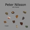 Peter Nilsson - Mitesh