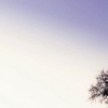 Music for Sleep、Sleep Waves、Baby Lullaby - London Bridge