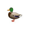 xoedoxo - Badum Badum (The Duck Song Trap Remix)
