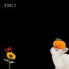 MDMJ、Tighttimmy - Ping Tenge (Explicit)
