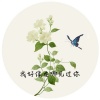 大师 - 我好像在哪见过你 (1.2倍Remix)
