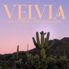 Philanthrope、Flitz&Suppe - Velvia