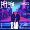 坏艺术系 - 拥抱