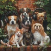 Shower Sounds、Waiting Room Music Masters、Comfort in Pets - Quiet Nap Tune