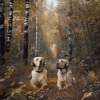 Jazz Music Therapy for Dogs、Interstellar Journey、Music for Dogs Radio - Dog's Serene Night