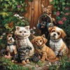 Basic Happiness、ChilledCrow、Deep Night Pets - Pets Dusk Calm