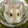 Dee Zee、David Zeitlin - The League Of Mice
