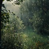 Zona Yogui、Sonidos de lluvia y truenos、Sonidos de lluvia y naturaleza - Sonidos De Trueno Para La Armonía En El Yoga