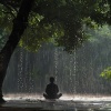 El Canal del Clima、Dao Naturaleza、naturalista - Ritmos Binaurales De Lluvia Relajantes