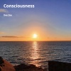 Dee Zee、Dave Zeitlin - Consciousness