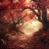 Pro Sounds of Nature、Nature Recordings、Tinnitus Aid - Looking Back (Remember)