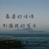 没送过女孩花 - 因为喜欢你 所以执着于你