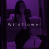 Ren - Wildflower (Sped Up)