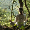 Música Clásica Relajante Para Estudiar、Grabaciones relajantes de la Naturaleza、Sonidos naturales del bosque - Flujo Enfocado De La Mente Del Río