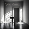 Flying Kiwis - In an Empty Room