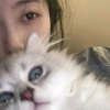 一只瑜、云玄 - 痴人说梦