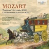 Czech Chamber Philharmonic Orchestra Pardubice、vahan mardirossian - I. Adagio maestoso - Allegro con Spirito