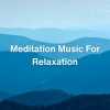 Reiki Warmth、Earth Frequencies and 432 Hz Frequencies、Ambient Chill - Spa Music Relaxation Therapy