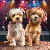 Famous Doggy Music、Empyrean、Essential Nature Sounds - Dogs Joyful Chords