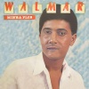 Walmar - Minha Flor
