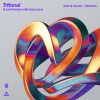 Tritonal、Last Heroes、Lizzy Land、Awakend - Safe & Sound (AWAKEND Remix)