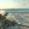 Some Relaxing Music for Cats、Relaxing My Ktiten、Harmonious Experiences - Ocean Whispers for Feline Calm