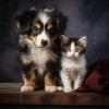 MÚSICA PARA CACHORROS、Sonidos del viento、Sonidos de lluvia y ruido de fondo - Melodías Calmantes Para Animales