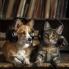 Pets Relax、Deep Lofi Relaxation、Relaxing Music for Pets - Relaxing Pet Lofi