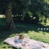 疗愈音律 - 自然之声